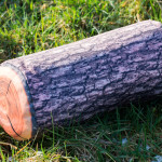 Holz Kissen-5