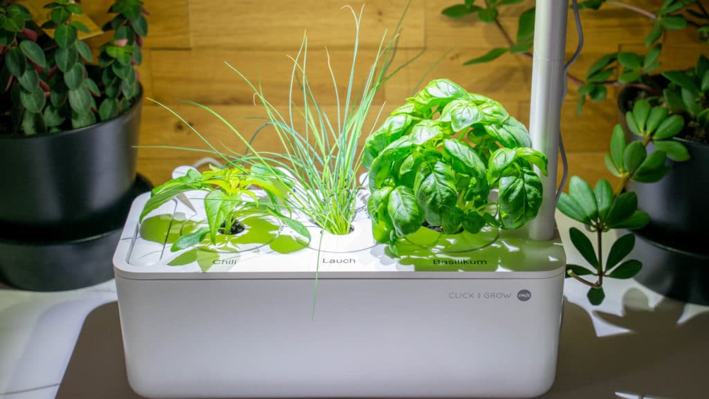 Erfahrungsbericht, Emsa Click & Grow Smart Garden 3 10
