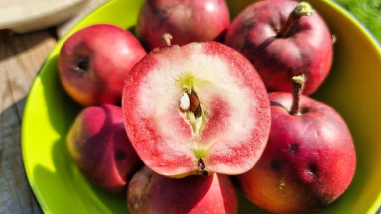 Tipp und mini Erfahrungsbericht, Apfelbäume mit rotem Fruchtfleisch!
